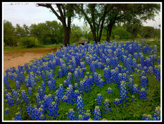 2010-04-14 19blue