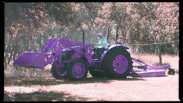 20131007_152purp