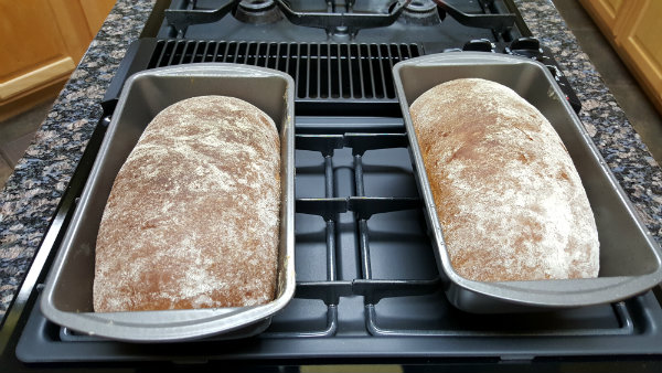 20160207_102440bread