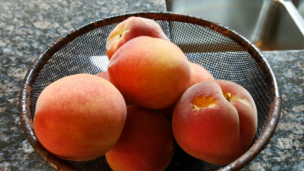 20160604_185151 (1)peach